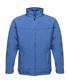 Royal Blue/Seal Grey